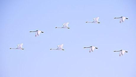 为了打击黄牛 日本PS5零售商在外包装上做上标记